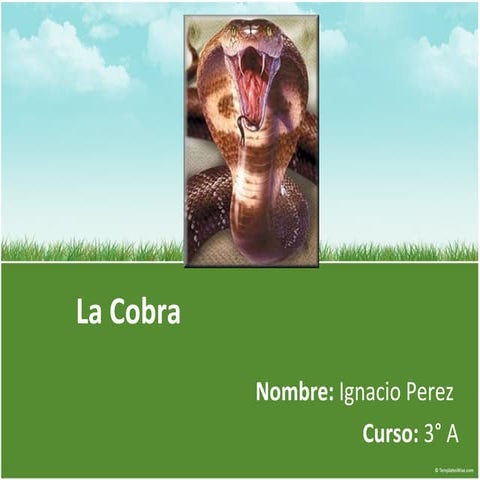 La cobra