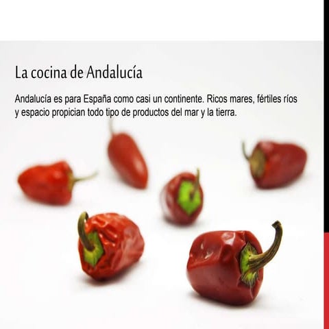 La cocina andaluza