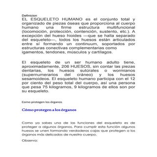 La columna vertebral