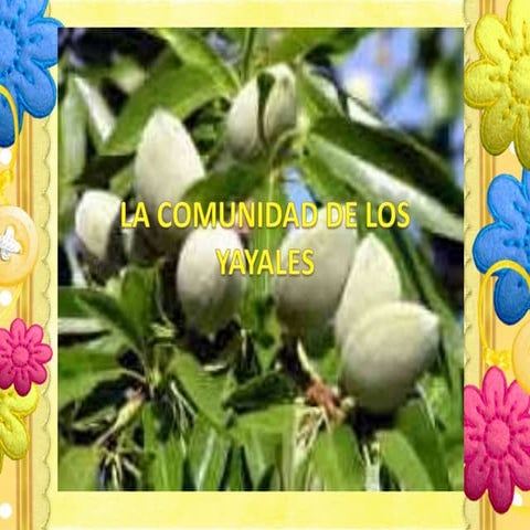 La comunidad de los yayales