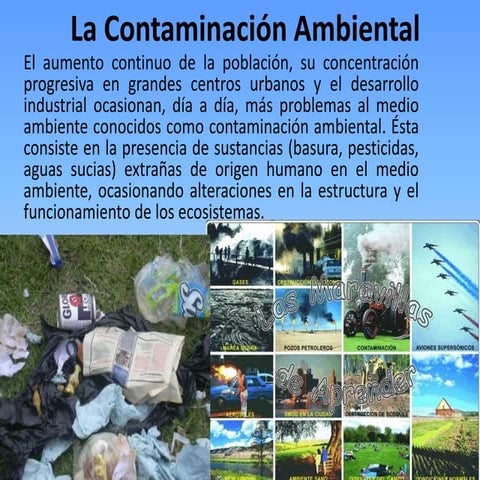 La contaminación ambiental