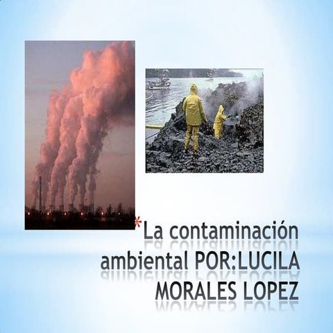 La contaminación ambiental por