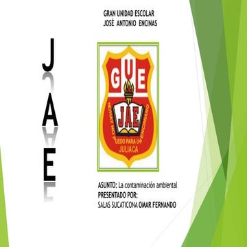 La contaminacion  ambiental