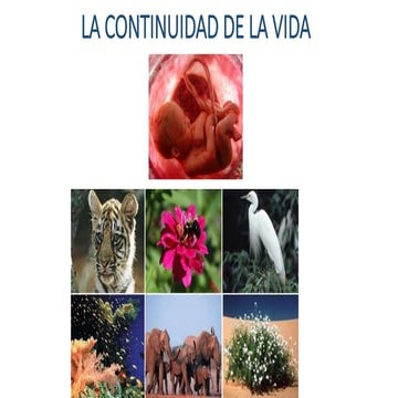 La continuidad de la vida | PPT
