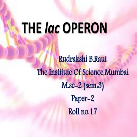 The Lac operon