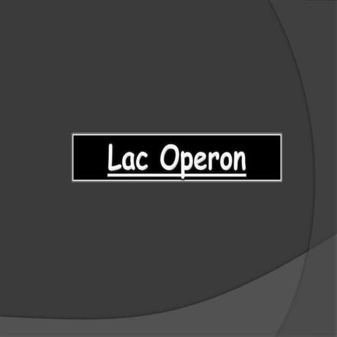 Lac operon