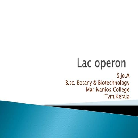 Lac operon