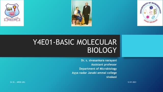 Lac operon