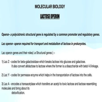 Regulation of gene expression in Prokaryotes (Lac Operon).pptx by ...