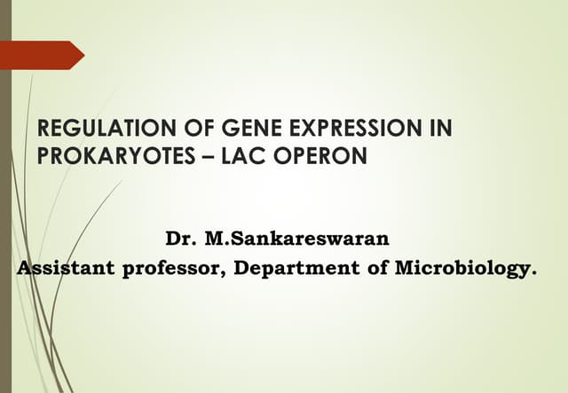 Regulation of Gene Expression in Prokaryotes | PPTX