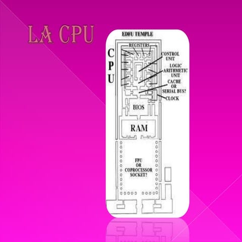 La cpu