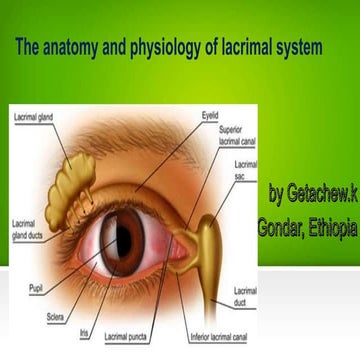 Lacrimal system ppt.