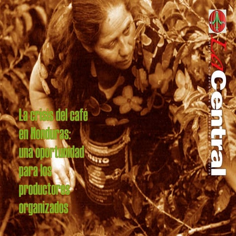 La crisis del café en Honduras una oportunidad para el productor organizado presentación