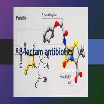 Understanding the Potency of β-Lactam Antibiotics