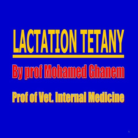 Lactation tetany in mare