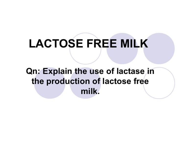 IB Biology Lactose free milk