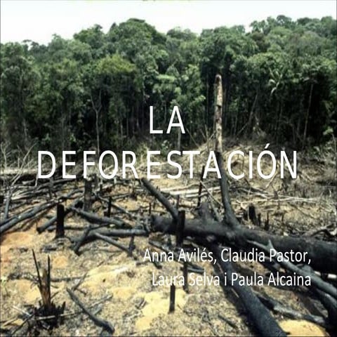 La deforestación