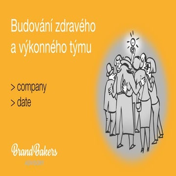 Ladění týmu – workshop