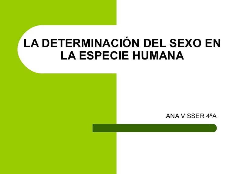 La determinación del sexo en la especie humana