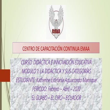 La didactica y sus categorias