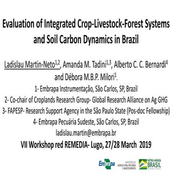 Ladislau martin-Neto et al.