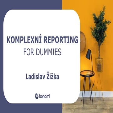 Komplexní reporting for dummies