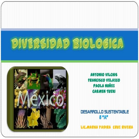 La diversidad biologica