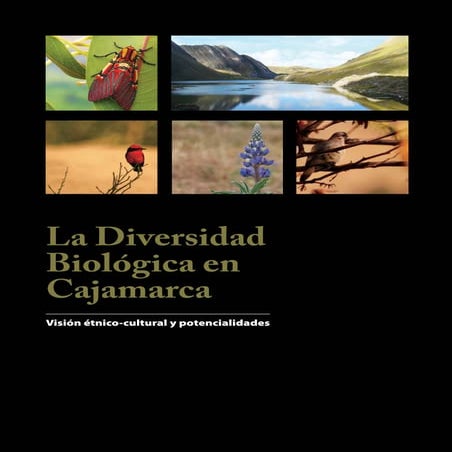 Shiringa - WWF Peru | PDF