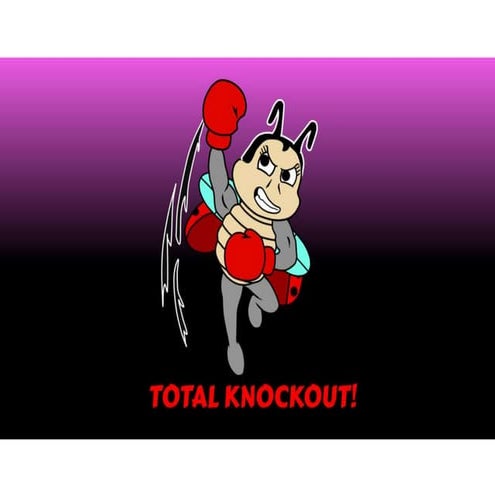 Lady bug boxing | DOCX