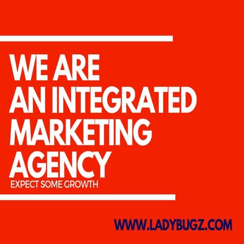 Ladybugz Interactive Agency Integrated Marketing