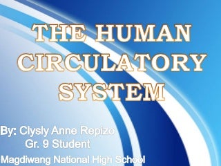 'human circulatory system' on SlideShare