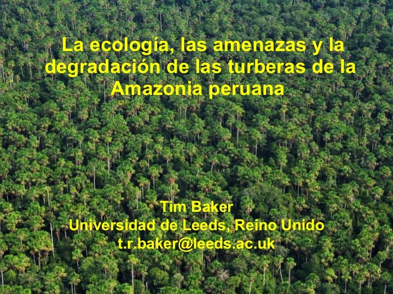 thumbnail of  La ecología, las amenazas y la degradación de las turberas de la Amazonia peruana
