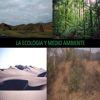 La Ecologia y Medio Ambiente