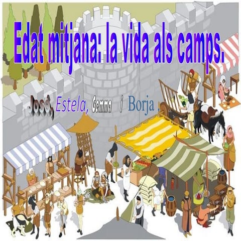 L'Edat Mitjana (Els camps)