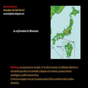 La enfermedad de minamata