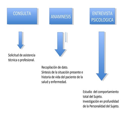La entrevista bleger x rosiel