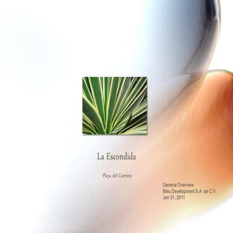 La Escondida Overview 2011