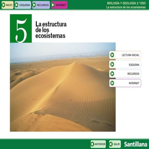 La estructura de los ecosistemas