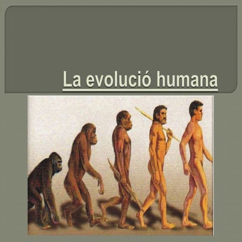 La evolució humana