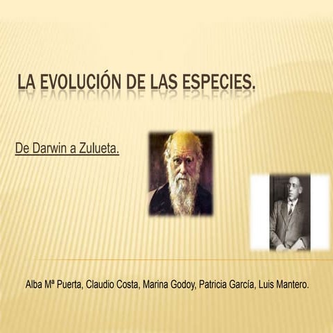 La evolución de las especies: De Darwin a Zulueta