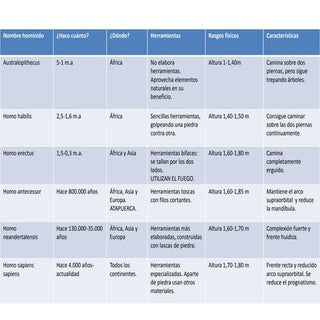 La evolución del ser humano