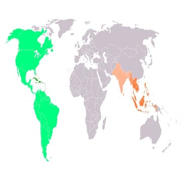 La expansión ultramarina europea.pptx