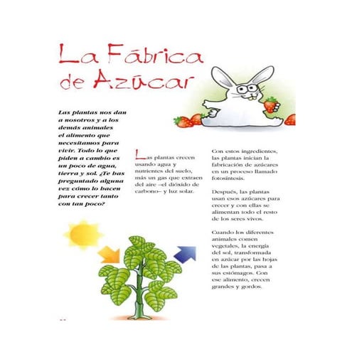 La fabrica de azúcar