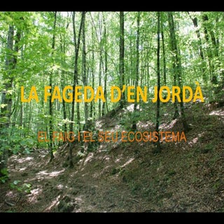 La Fageda d’en Jordà