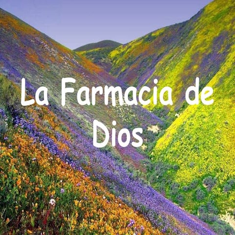 La farmacia de Dios