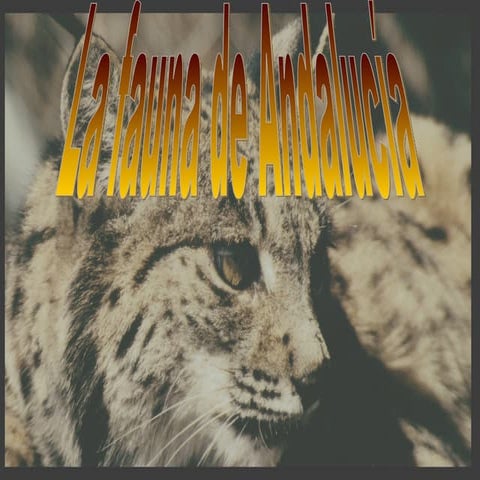 La fauna de andalucia