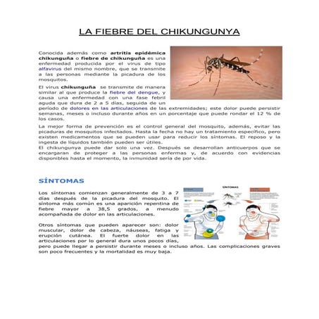 Lafiebredelchikungunya