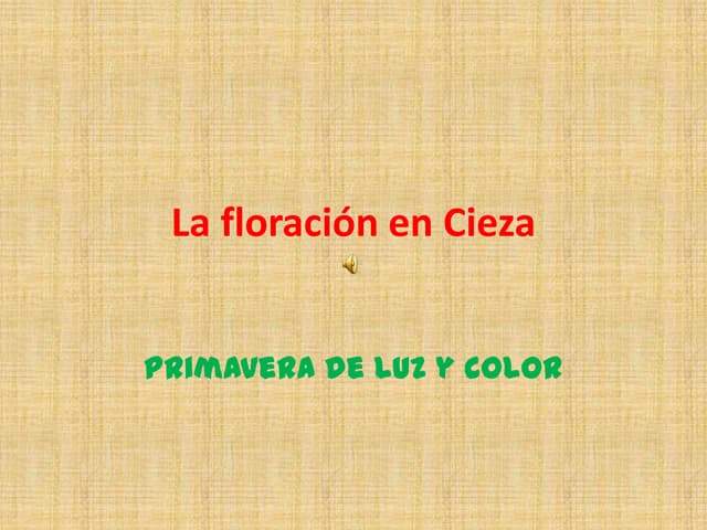 La floración en cieza