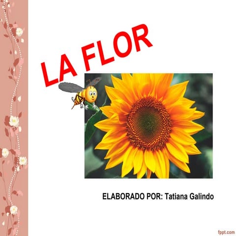 La flor y sus partes