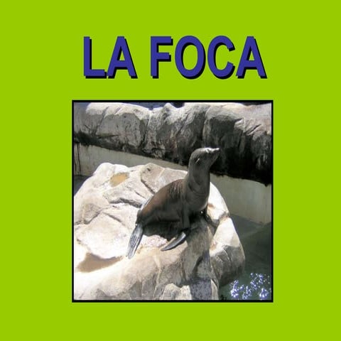 La Foca